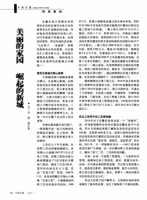 美丽的家园 崛起的新城