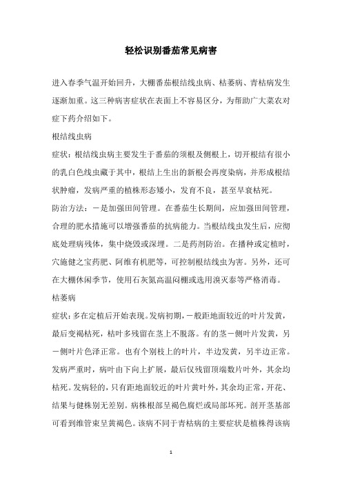 轻松识别番茄常见病害