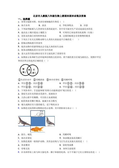 北京市人教版八年级生物上册期末期末试卷及答案