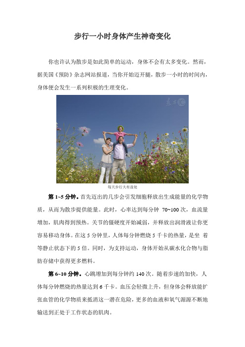 步行一小时身体产生神奇变化
