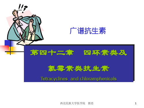 42.四环素类及氯霉素类抗生素