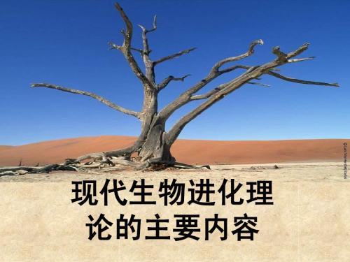 Q现代生物进化的主要内容