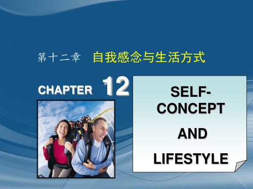 消费者行为学第12章