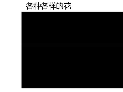 季人教版七年级生物上册 开花和结果PPT素材打包份