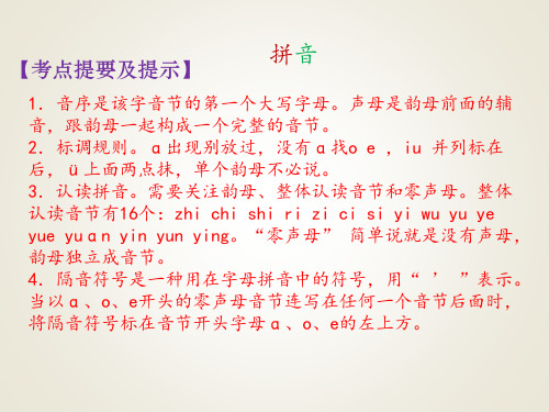 小升初语文专项复习课件拼音∣语文S版 (共17张PPT)