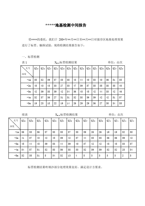 地基检测报告