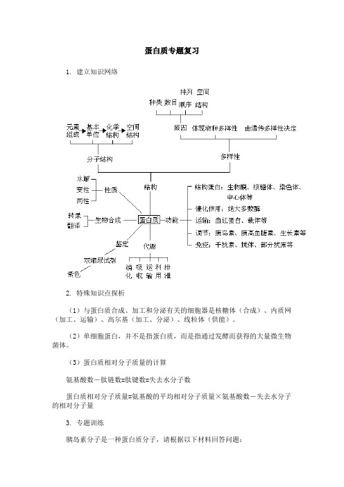 蛋白质专题复习