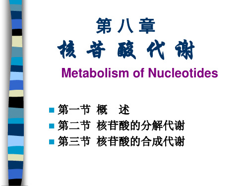 基础生化-2009-第八章核苷酸代谢