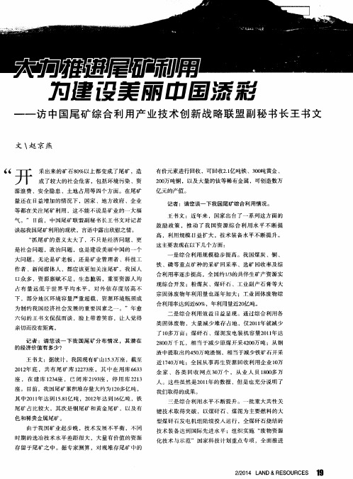 大力推进尾矿利用 为建设美丽中国添彩——访中国尾矿综合利用产业技术创新战略联盟副秘书长王书文