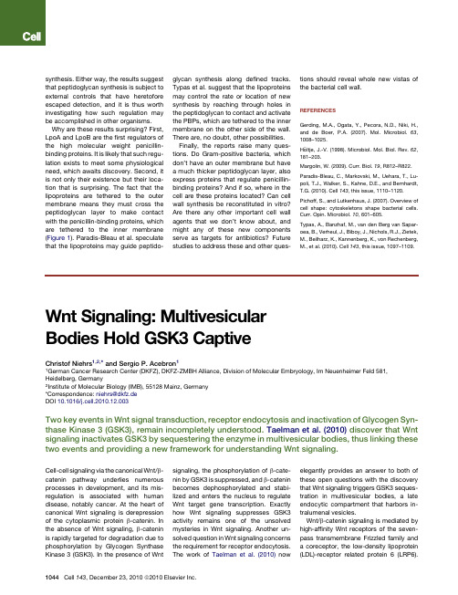 Wnt Signaling Multivesicular Bodies Hold GSK3 Captive