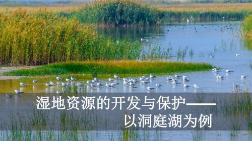 第二章第二节湿地资源的开发与保护