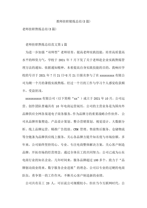 教师挂职锻炼总结(5篇)