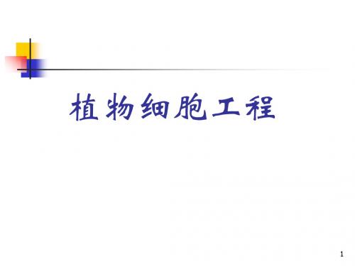 植物细胞工程