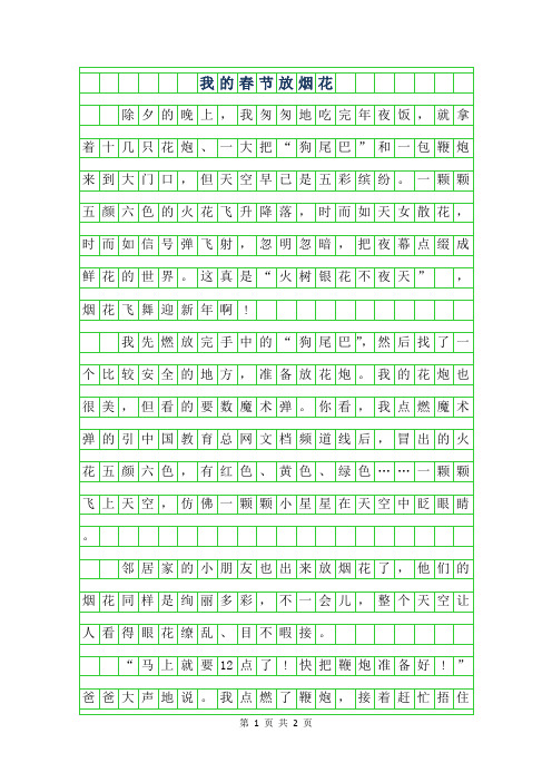 2019年我的春节800字作文-放烟花