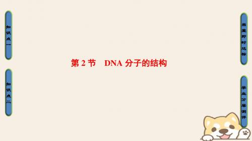 2018版高中生物 第三章 基因的本质 第2节 DNA分子的结构课件 新人教版必修2