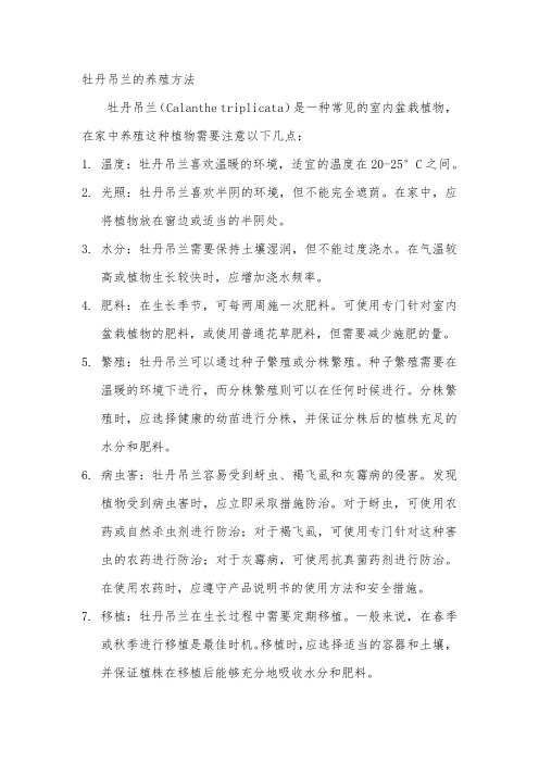 牡丹吊兰的养殖方法