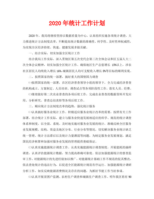 2020年统计工作计划