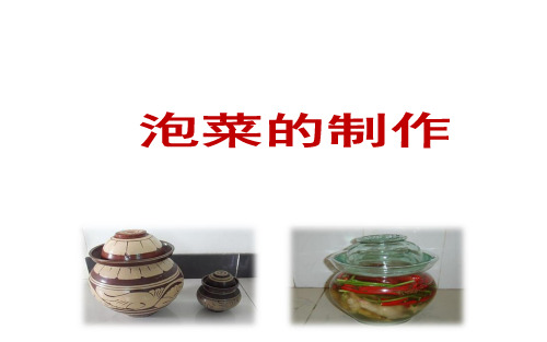 小学劳动与技术课件 64 泡菜的制作