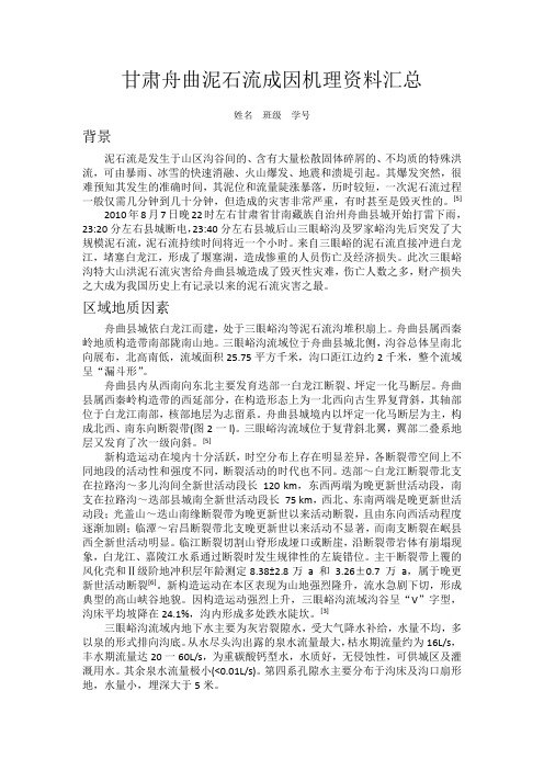 甘肃舟曲泥石流成因机理资料汇总