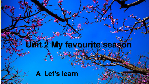 五年级下册英语课件-Unit 2   A  Let's learn   人教PEP版