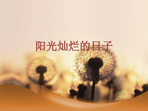 中考作文真题指导PPT——阳光灿烂的日子