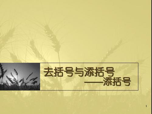 3.4.3去括号与添括号(2)