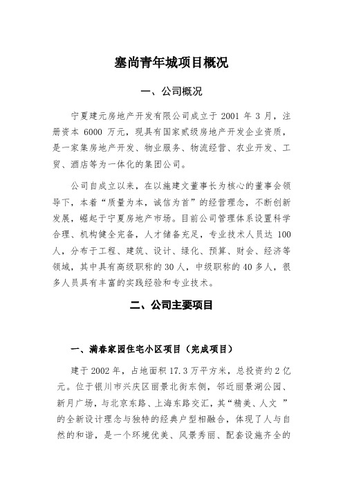 项目概况