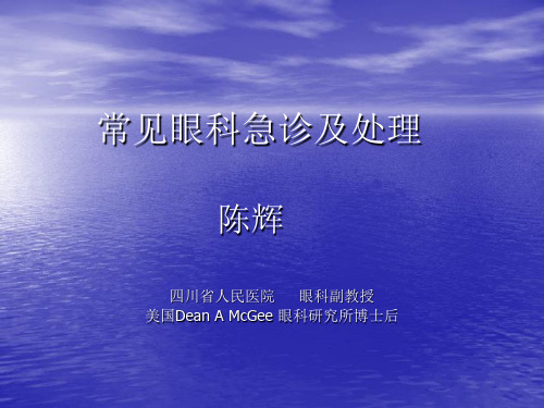 眼科急诊--眼外伤疾病