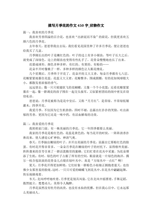 描写月季花的作文450字_状物作文