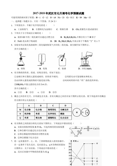 2018年武汉市元月调考化学预测试题