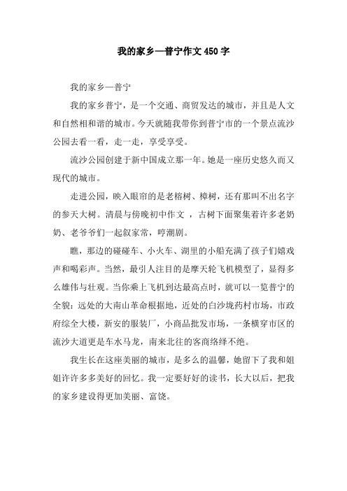 我的家乡—普宁作文450字.docx