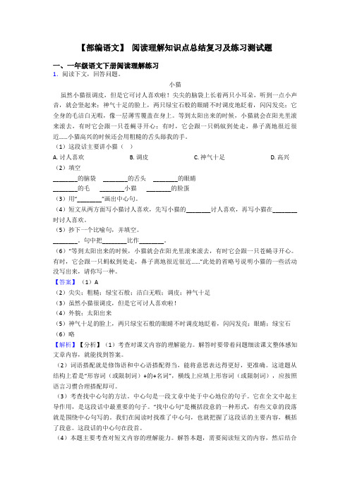 一年级【部编语文】 阅读理解知识点总结复习及练习测试题
