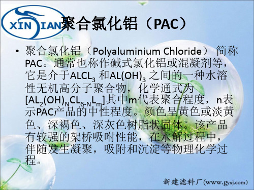 聚合氯化铝(PAC)