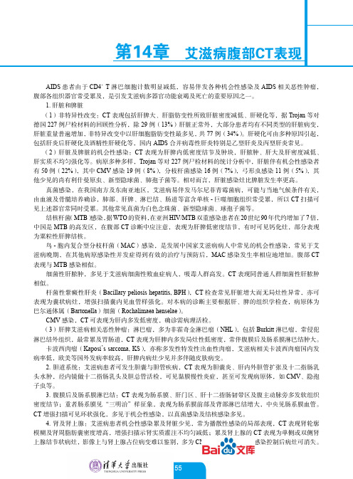 艾滋病胸腹部影像诊断图谱(第2版)第14章艾滋病腹部CT表现