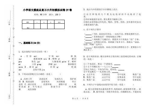 小学语文摸底总复习小升初模拟试卷IV卷