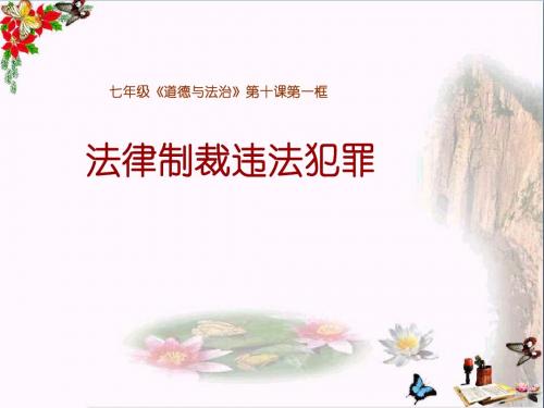 法律制裁违法犯罪ppt优秀课件2 鲁教版