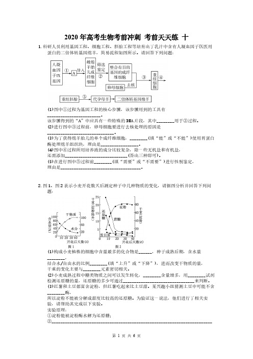 2020年高考生物考前冲刺 考前天天练 十(含答案解析)
