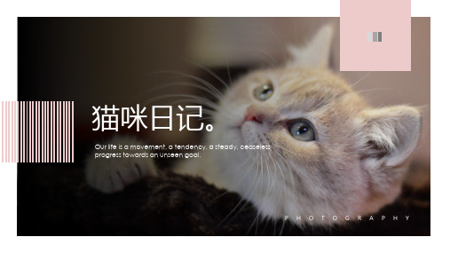 【萌宠日记】宠物儿童时尚画册电子相册ppt通用模板
