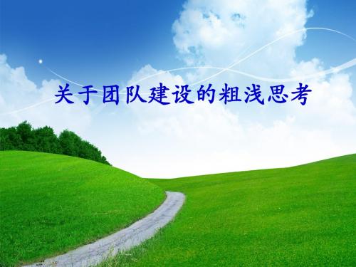 关于团队建设的粗浅思 共16页