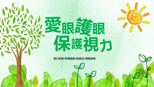 爱眼护眼保护视力PPT
