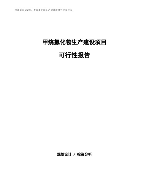 甲烷氯化物生产建设项目可行性报告(总投资17812.81万元)
