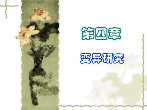 比较文学课件(文化过滤2.1)