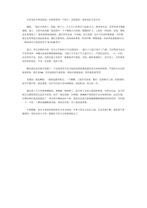羊常见皮肤病