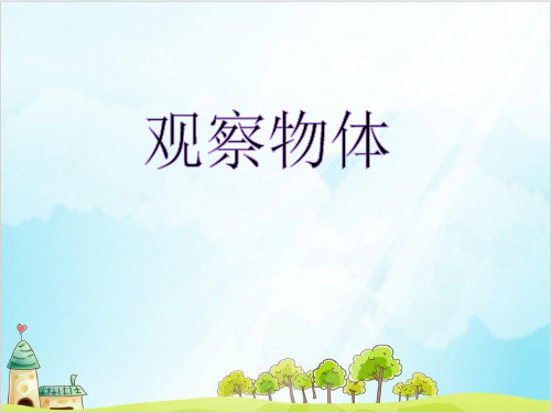 二年级下册数学-1 观察物体浙教版 (19张)