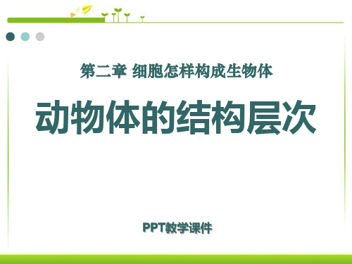 动物体的结构层次2精品课件