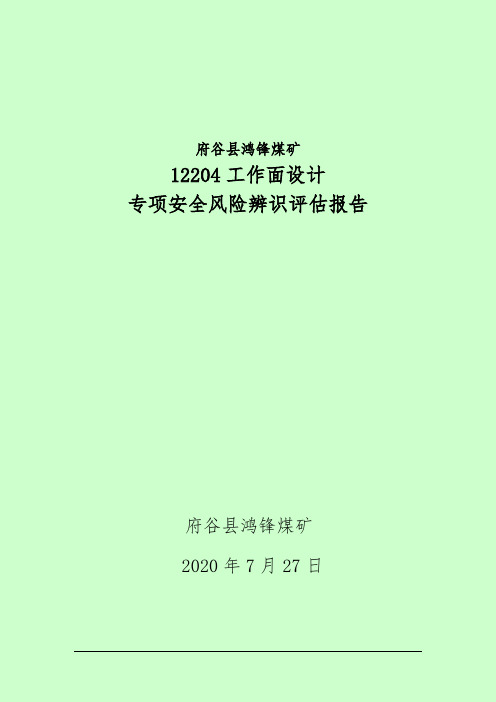 HF12204工作面和盘区专项安全风险辨识评估报告 - 副本