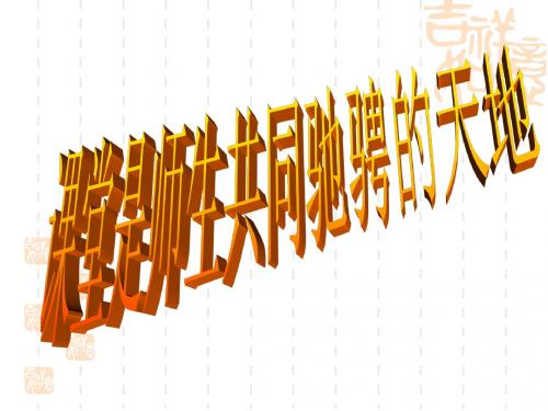 生命与和平相爱