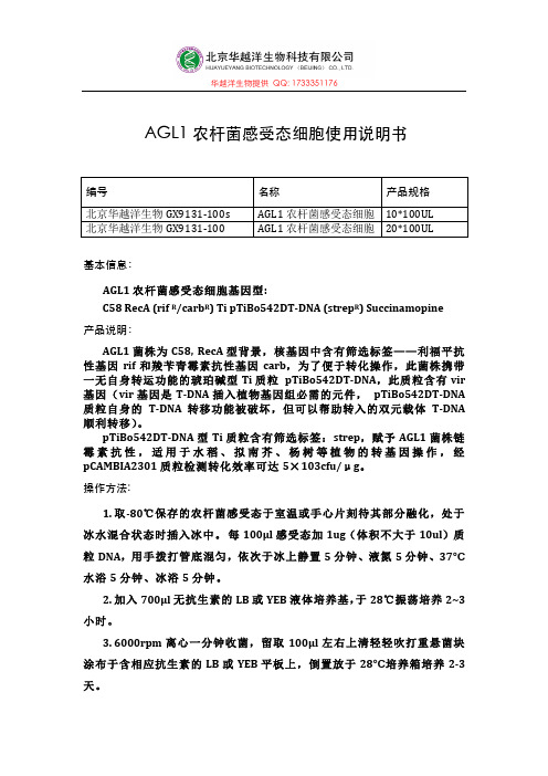 Agl1农杆菌感受态细胞使用说明书
