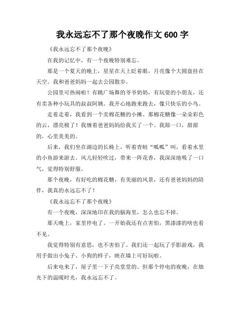 我永远忘不了那个夜晚作文600字