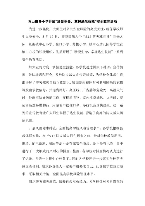 鱼山镇各小学开展“珍爱生命,掌握逃生技能”活动